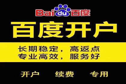 行业领先企业的网络推广开户策略